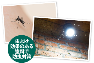 蚊や虫が多くなる夏