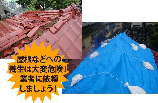 屋根などへの養生は大変危険なので、業者に依頼しましょう