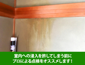 雨水が浸入した壁