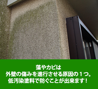 藻やカビは外壁の傷みを進行させる原因の一つですが低汚染塗料で防ぐことができます