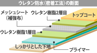 ウレタン防水(密着工法)の断面